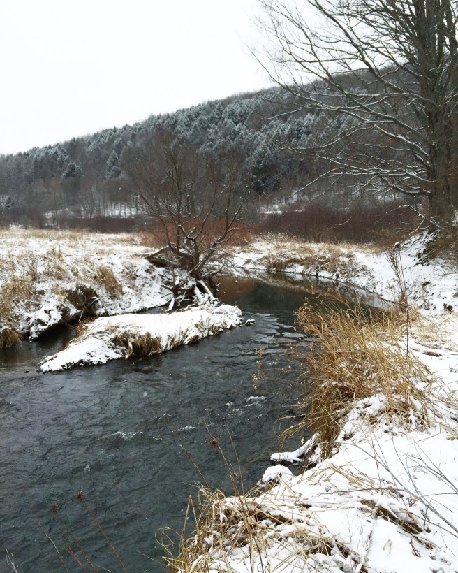 snowy river